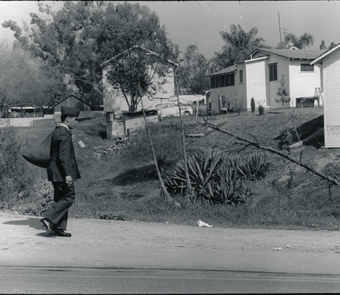 Examine the Latino experience during a war that placed its heaviest burden on the working class. Framing the documentary are memoirs of two siblings who stood on opposite sides of the Vietnam War, one a POW and the other a protestor at home.