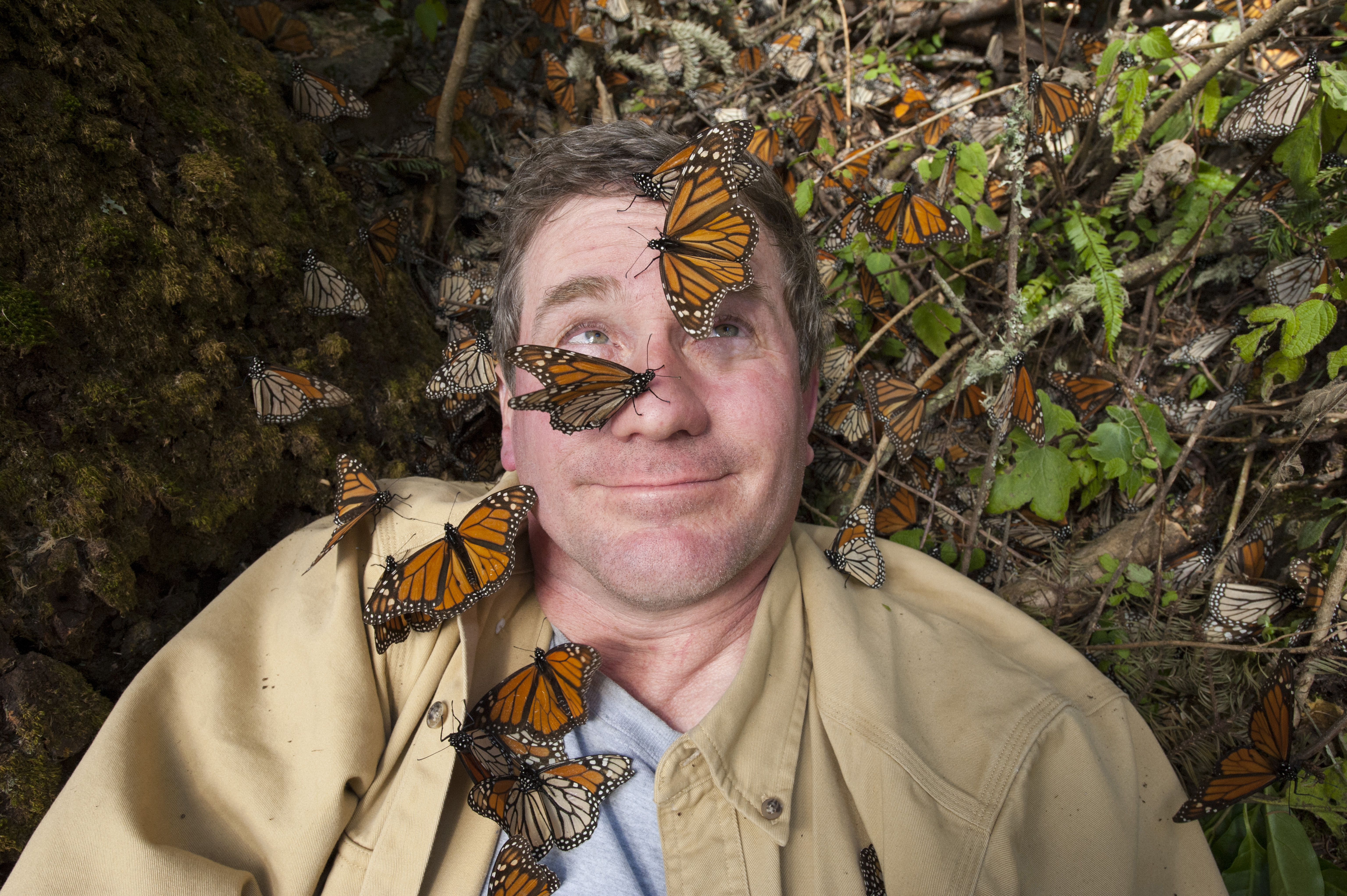 Journey with Joel Sartore in Spain, where he photographs the alluring Iberian lynx, and to China to film the Yangtze giant softshell turtle. In Cameroon, he hopes to glimpse the amazing Cross River gorilla, the rarest in the world.